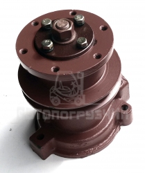 Насос водяной (помпа) Д243